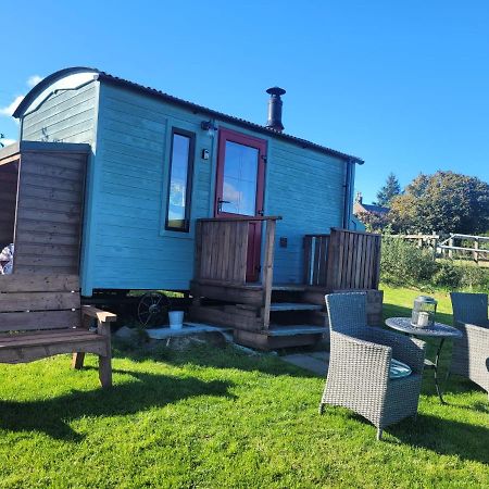 The Shepherds Hut At Forestview Farm Greenisland Extérieur photo