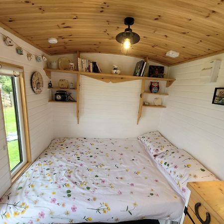 The Shepherds Hut At Forestview Farm Greenisland Extérieur photo