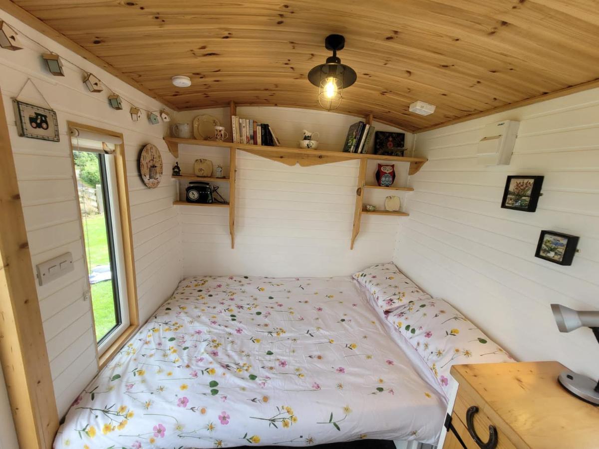 The Shepherds Hut At Forestview Farm Greenisland Extérieur photo